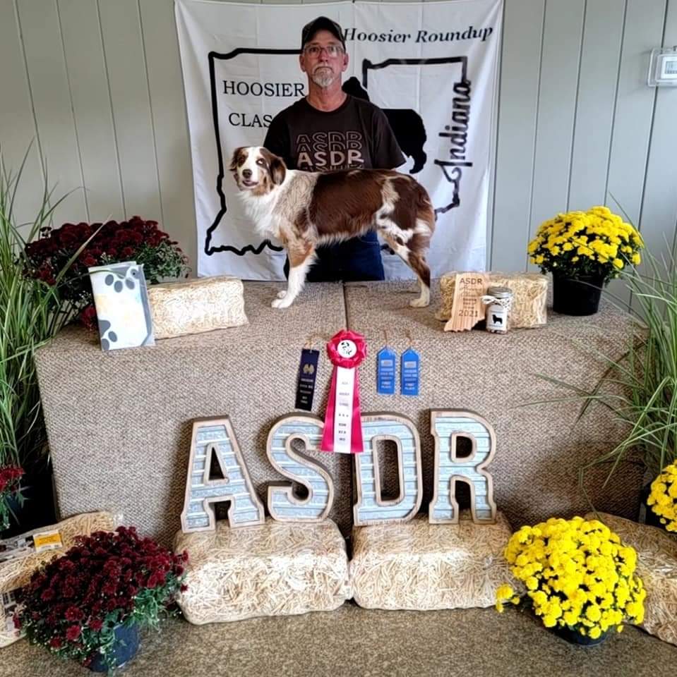 2021 Maggie in Indiana Best of Breed