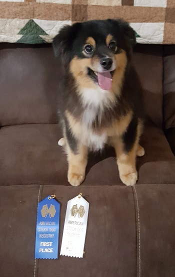 Gunner's winning 1st & 3rd in Kentucky