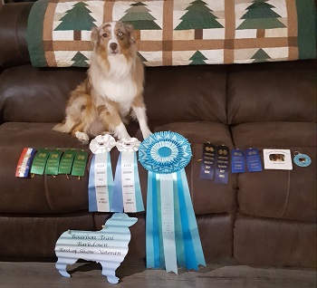 Pistol's winnings fro the Kentucky show.