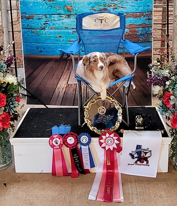 Pistol's wnnings in Texas .