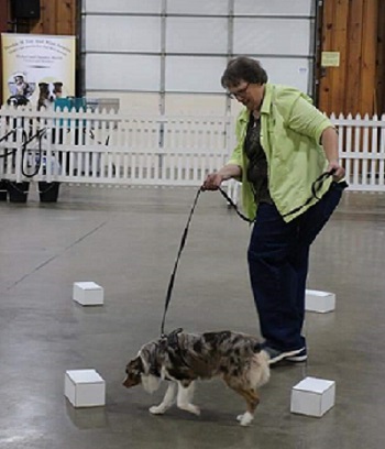 Scentwork 2021 Indiana web