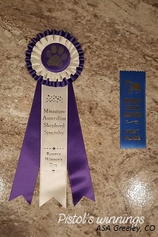 Winners Dog ASA Greeley CO