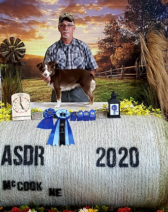 Remi competing in Missouri in agility on the dog walk and loving it.