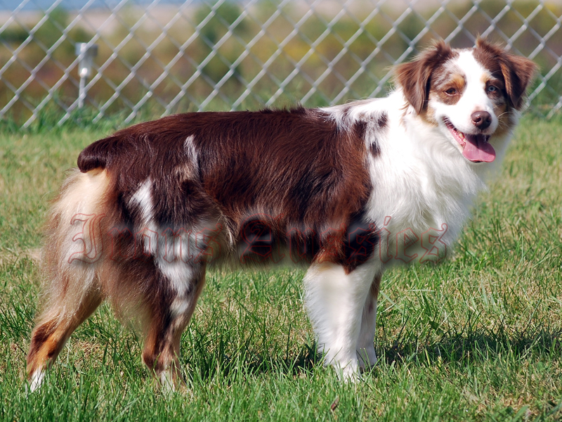 Maggie is such a pretty marked girl.
