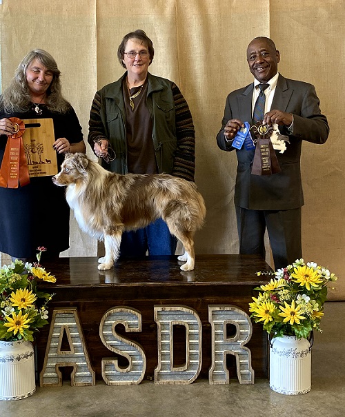 Best in Show - ASDR Springfield, MO November 2019.