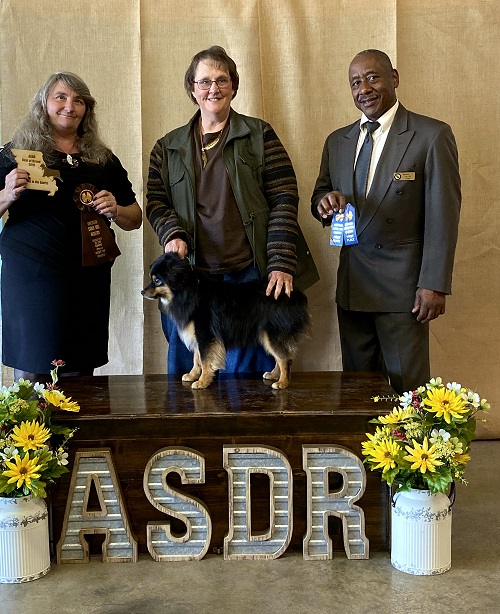 Best of Breed - ASDR Springfield, MO Nov 2019